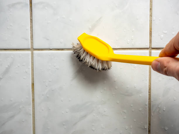 Best Mold Removal Near Me  in Fairchance, PA