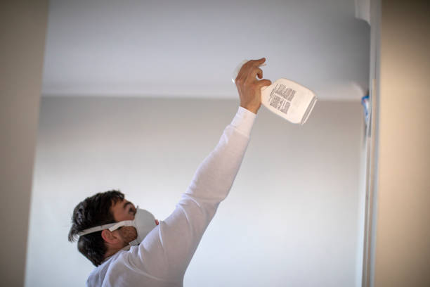 Best Mold Damage Repair  in Fairchance, PA