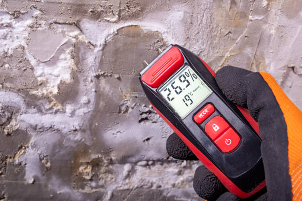 Best Black Mold Removal  in Fairchance, PA