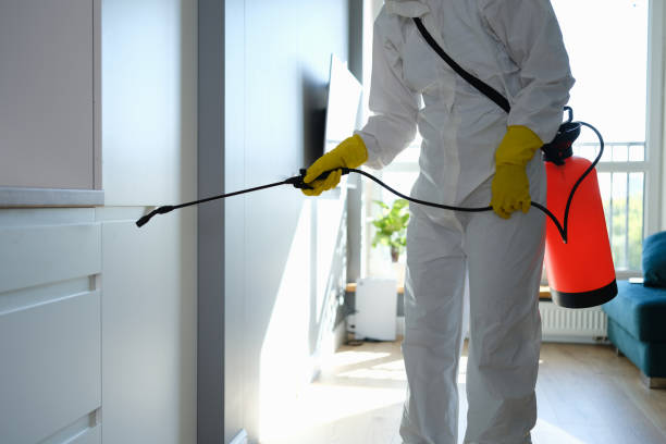 Best Mold Remediation Services  in Fairchance, PA
